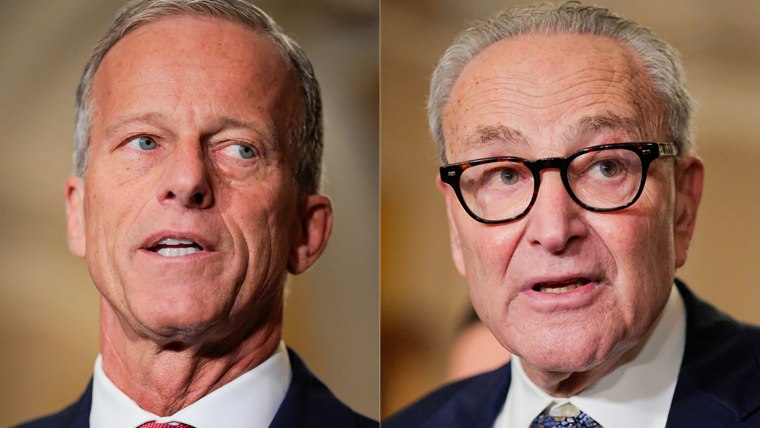John Thune; Chuck Schumer.