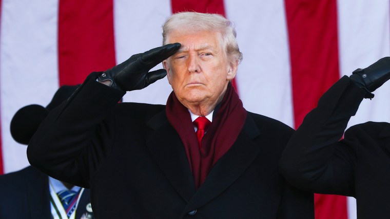 U.S. President Donald Trump saluting during a ceremony to mark Veterans Day.