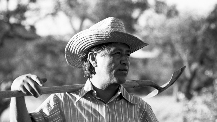 Cesar Chavez works in a community garden in La Paz, Calif., in 1975. 