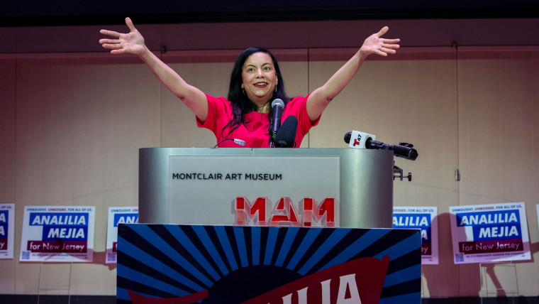 New Jersey Democrat Mejia Projected To Win Suburban House Race
