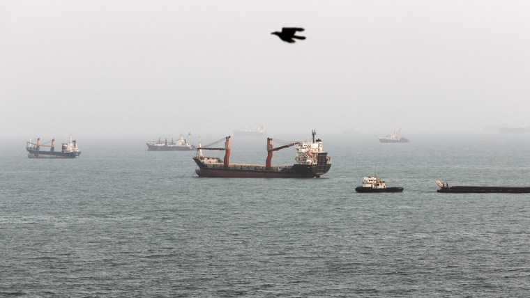 Numerous commercial vessels float under foggy skies as a black bird flys by in the foreground.