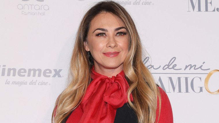 Aracely Arámbula procedería legalmente la mencionan en 'Luis Miguel, la  serie'