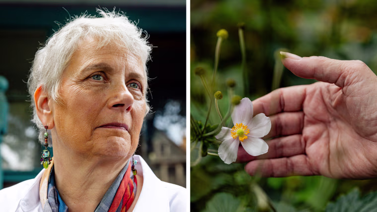 Tracey Kassman, left, a hand holding a white flower.