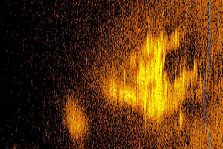Sonar image possibly showing Amelia Earhart's plane.