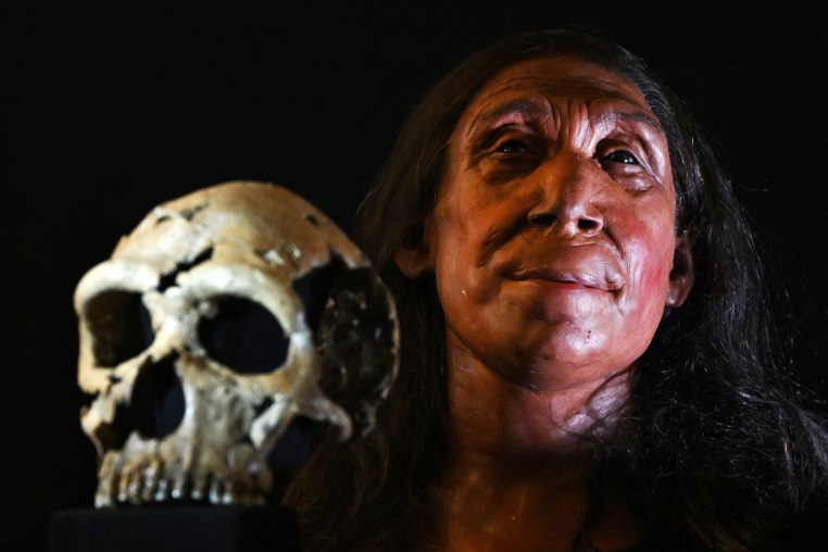 A UK team of archaeologists on Thursday revealed the reconstructed face of a 75,000-year-old Neanderthal woman as researchers reappraise the perception of the species as brutish and unsophisticated. 