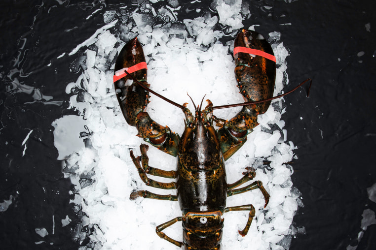 Raw Lobster on ice.