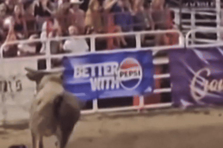 Four people were hospitalized after a bull escaped an arena at an Oregon rodeo and charged into patrons outside, authorities said Sunday.