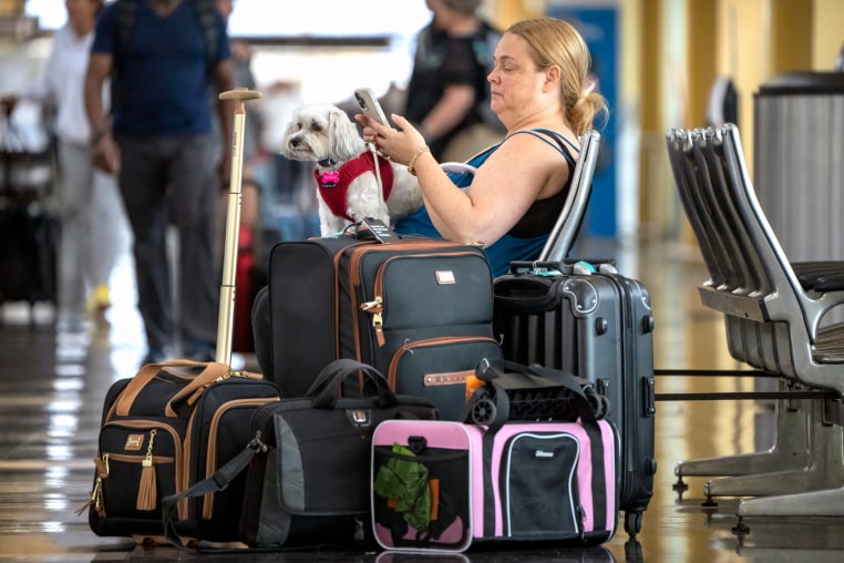 Shelly Suarez waits with her dog, Maxine, near the JetBlue counters at Reagan National Airport