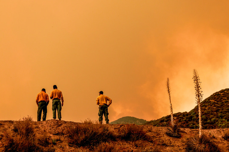 U.S. Forest Service