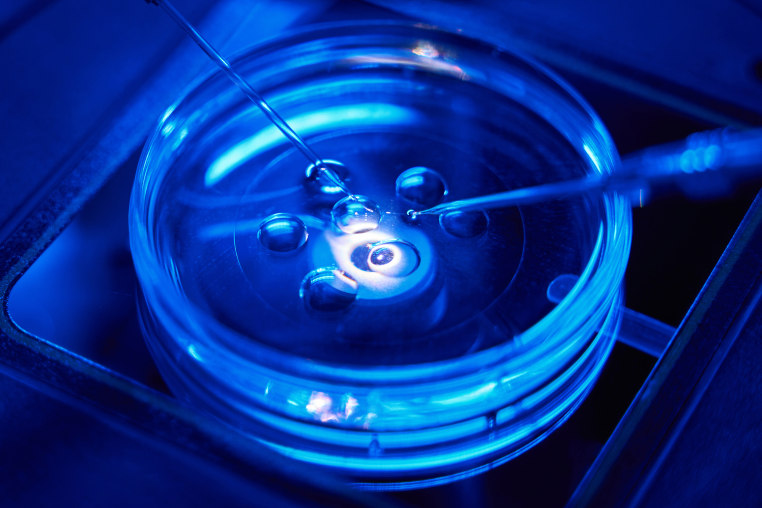 Closeup of intracytoplasmic sperm injection being performed in Petri dish