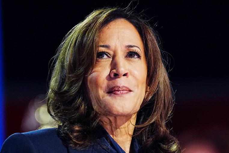 DNC - Democratic National Convention kamasla harris politics political politician