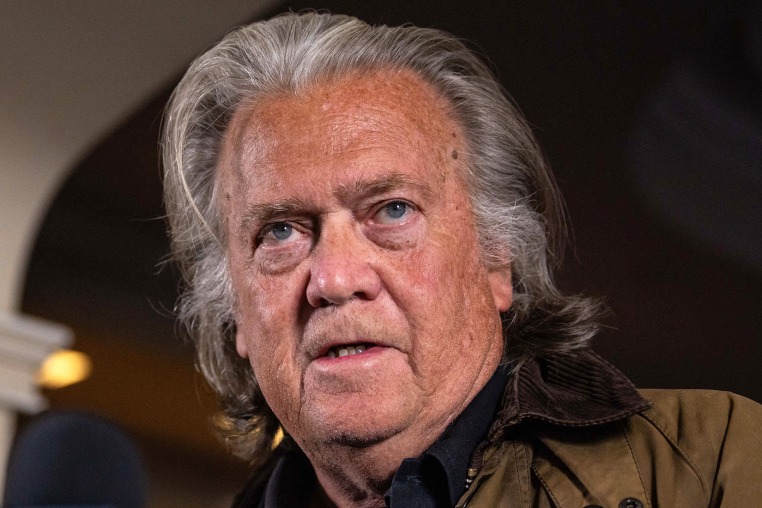 Image: steve bannon politics political