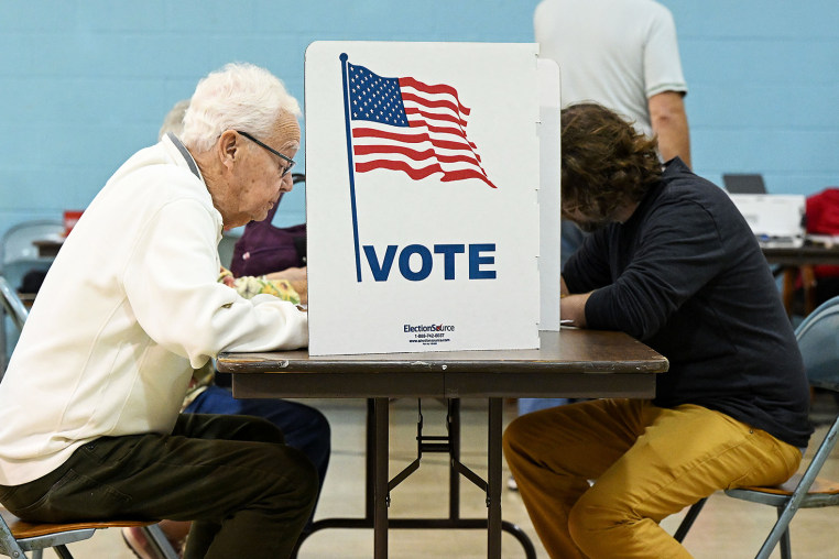 Registered voters in Michigan can cast their ballot early until November 3. 