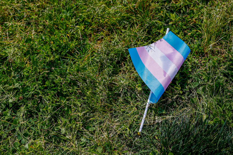 A transgender flag sits on the grass.