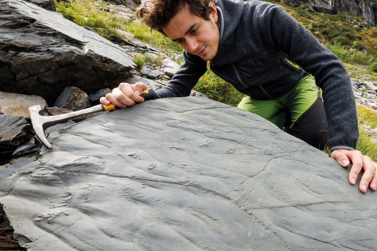 Marco Cattaneo looks at boulder 0, the first boulder found with footprints.