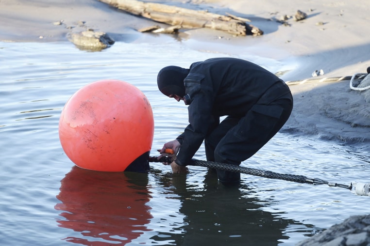Germany and Finland said November 18, 2024 they were "deeply concerned" that an undersea telecommunications cable linking the countries had been severed and opened a probe, at a time of high tensions with Russia.
