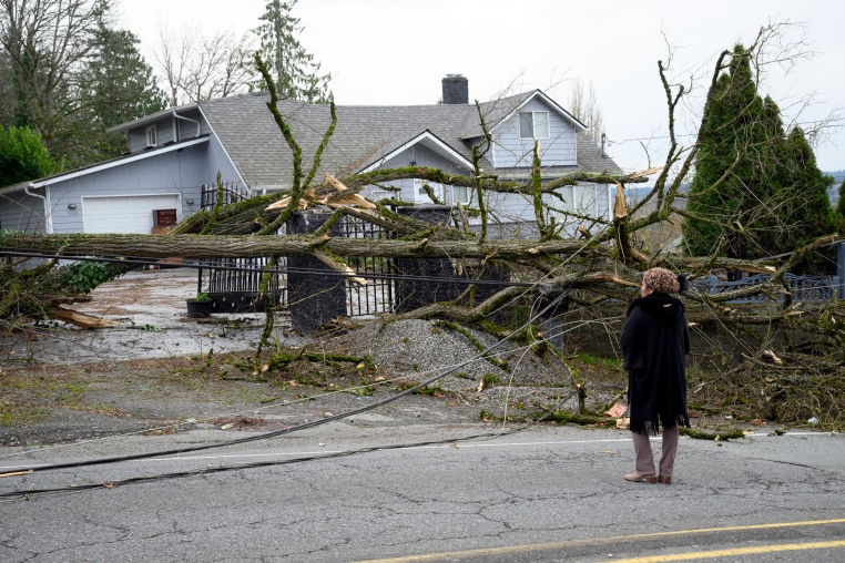 Bomb Cyclone