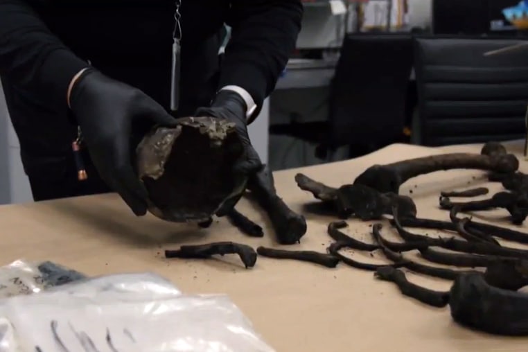 The bones from the coffin displayed on a table