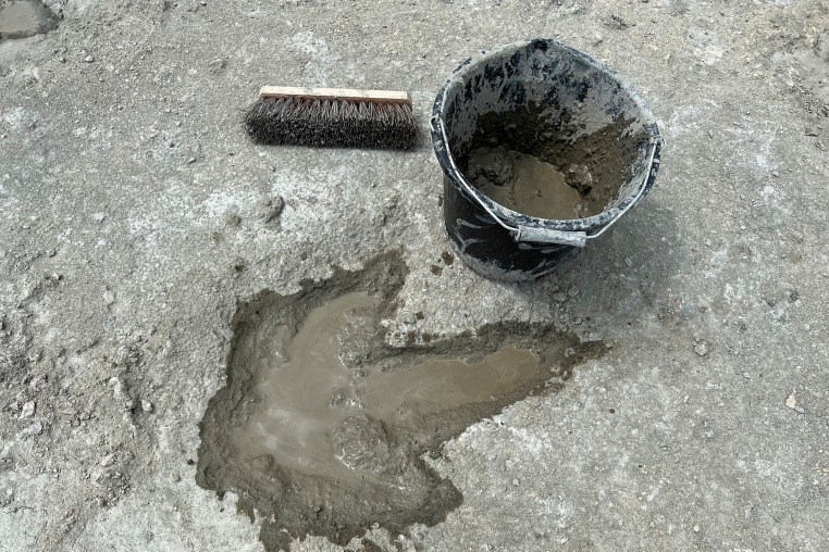 A dinosaur footprint 