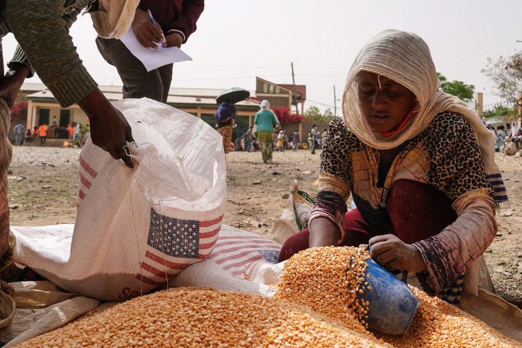 Aid Distribution And Rebuilding In Tigray
