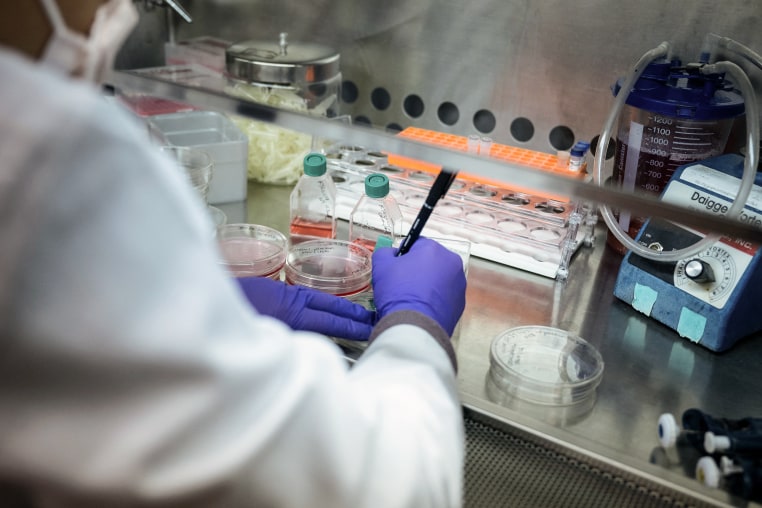 Cell lines are prepared in the laboratory at the National Heart, Lung, and Blood Institute's Cellular and Molecular Therapeutics Laboratory