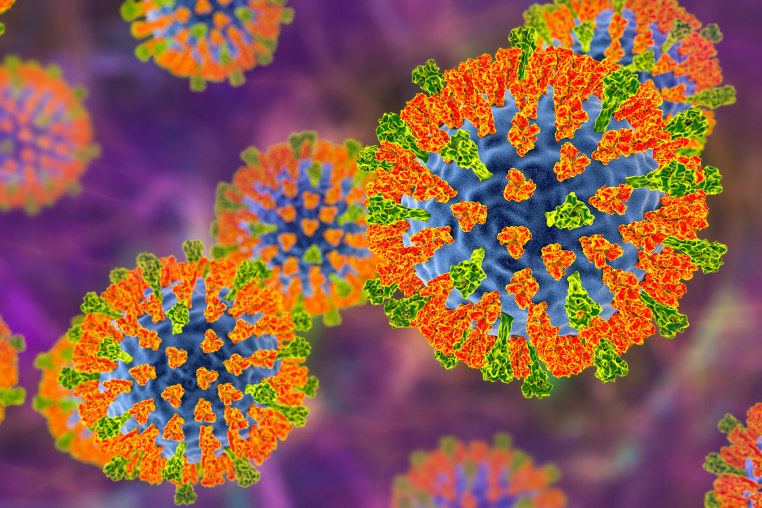 An illustration of the measles virus. 