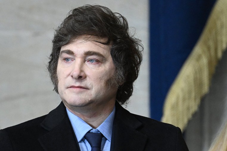 Image: Javier Milei politics political politician