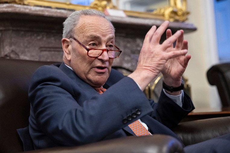 Senate Minority Leader Chuck Schumer 