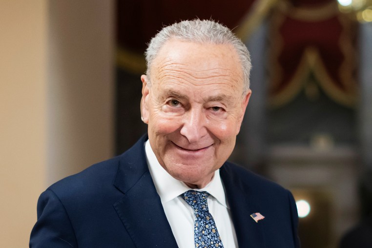 Chuck Schumer smiles during a television interview