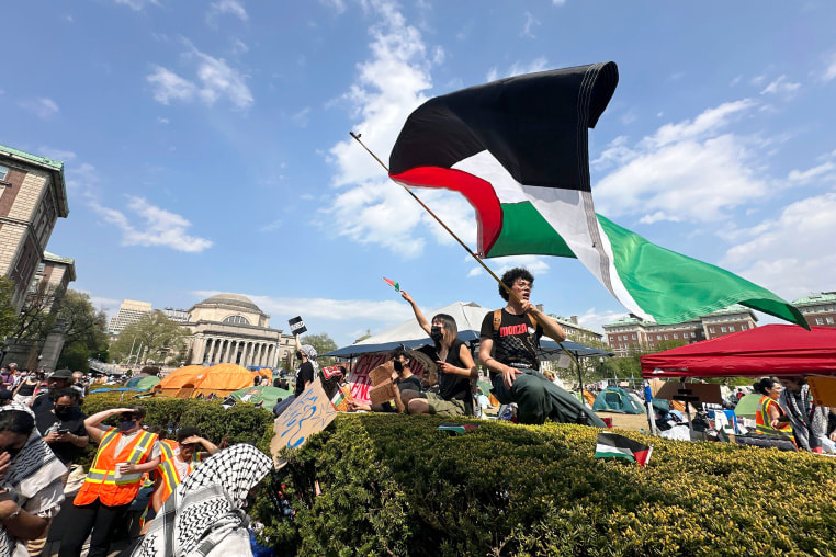 A demonstrator waves a flag