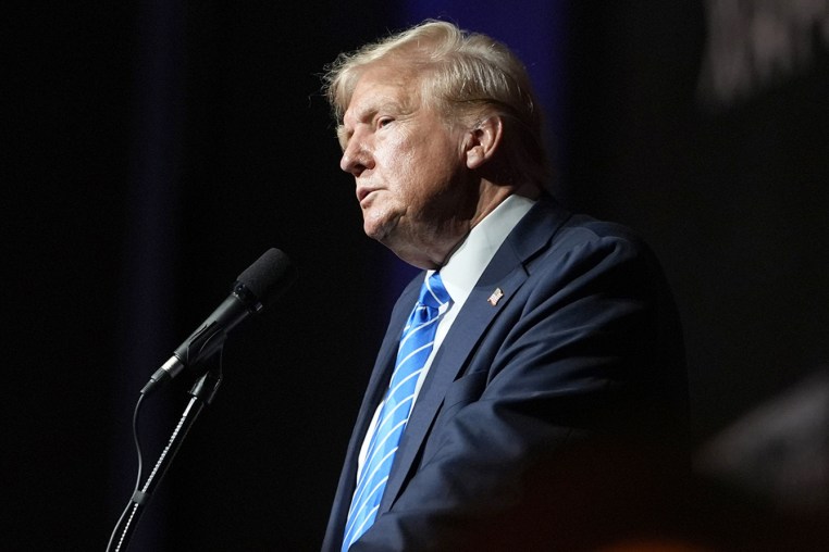 Image: donald trump politics political politician profile side view