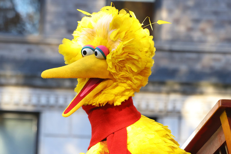 Big Bird on the Macy's Thanksgiving Day Parade in New York.