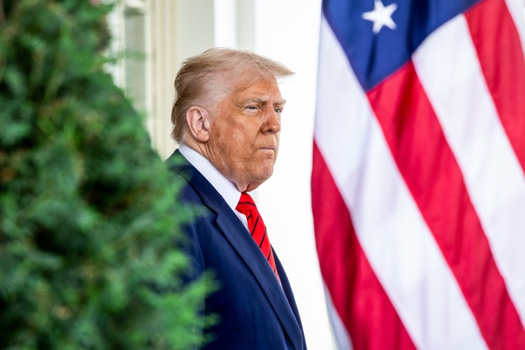 Donald Trump waits outside between a bush and a flag