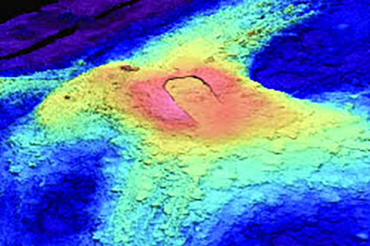 3D image of Axial Seamount bathymetry.