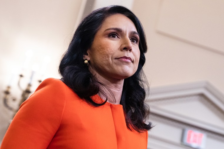 Worldwide Threats House 2025 tulsi gabbard director of national intelligence