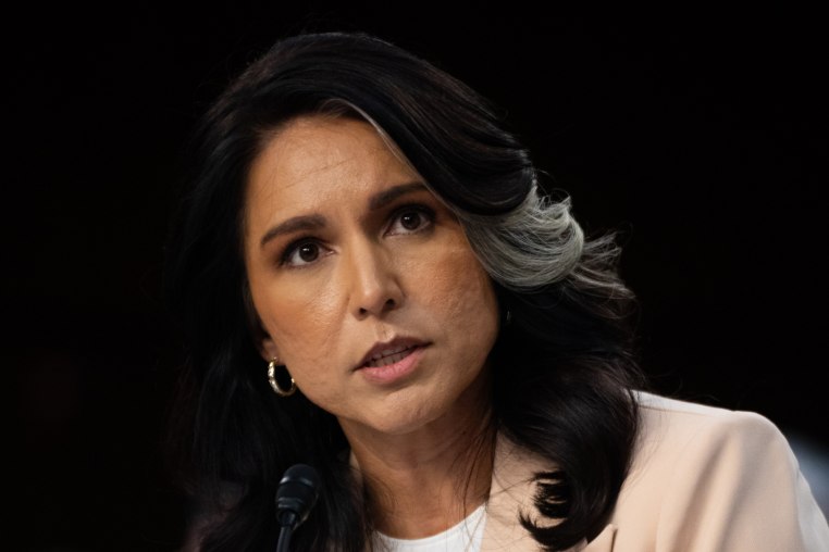 Tulsi Gabbard testifies 