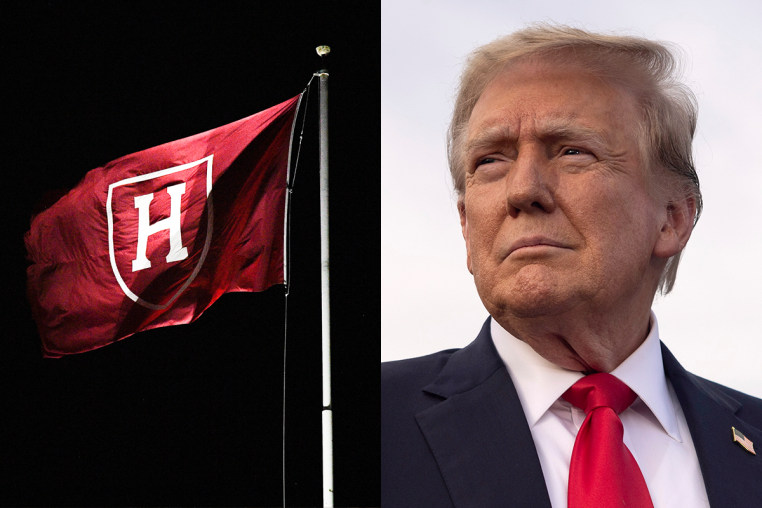 harvard crimson flag donald trump politics political politician
