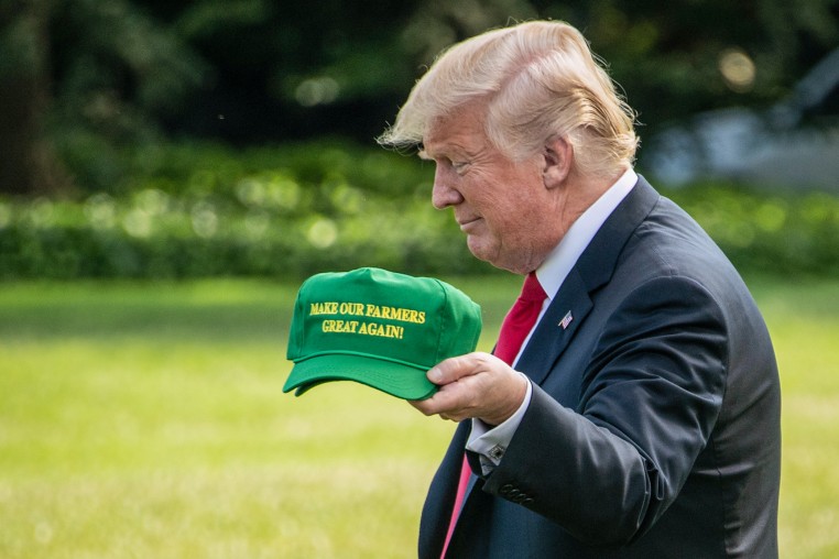 Donald Trump.