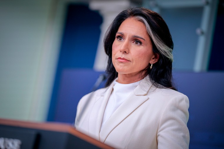 Tulsi Gabbard.