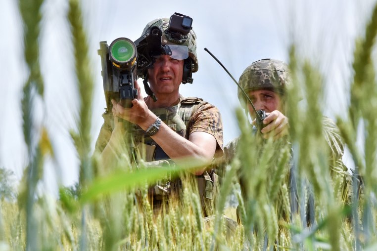 Ukrainian servicemen search a target with a US Stinger air