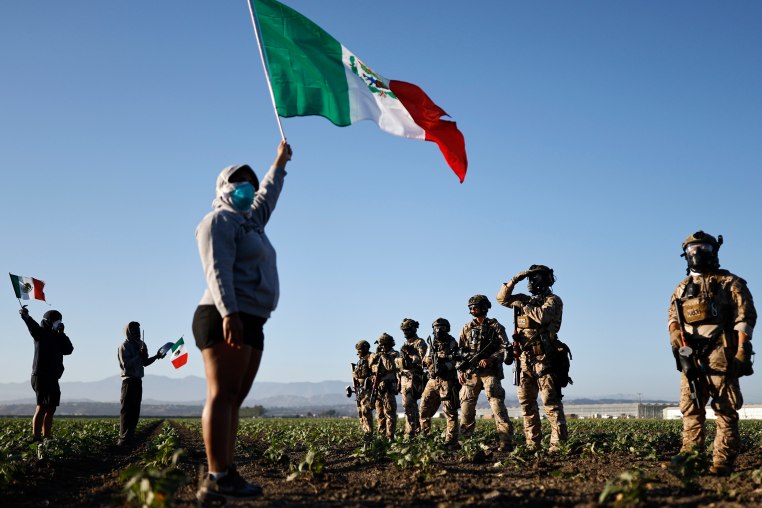 A protester holds a Mexican flag.