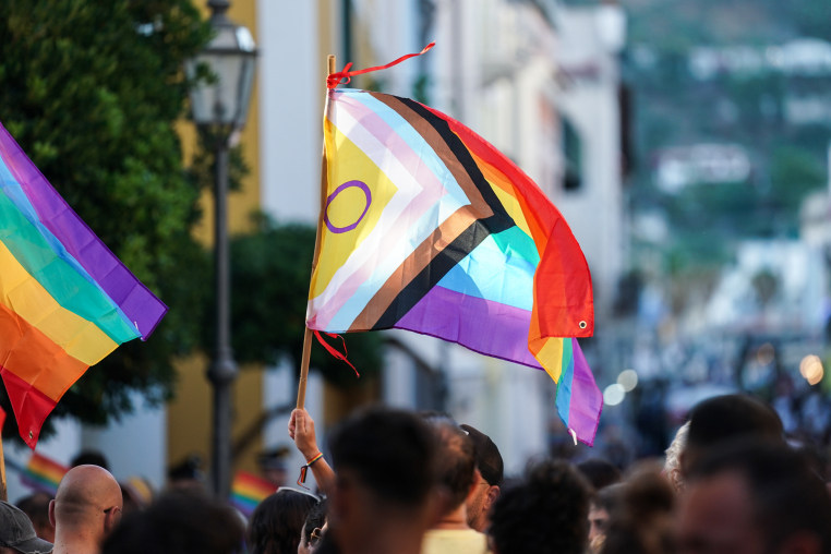 An LGBTQIA flag is waved above a crowd