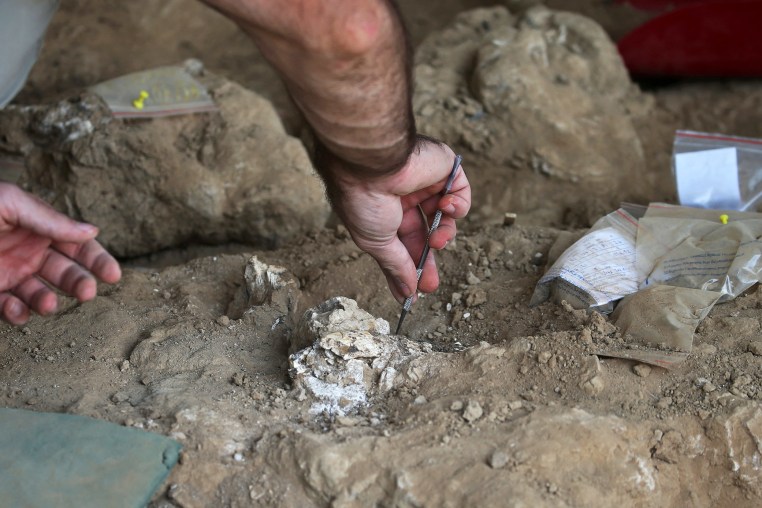 Georgian archaeologists unearth a presumably dated 1.8-million-year-old jawbone, in Kvemo Orozmani