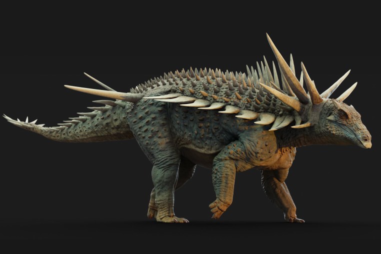 A life reconstruction of Spicomellus afer.