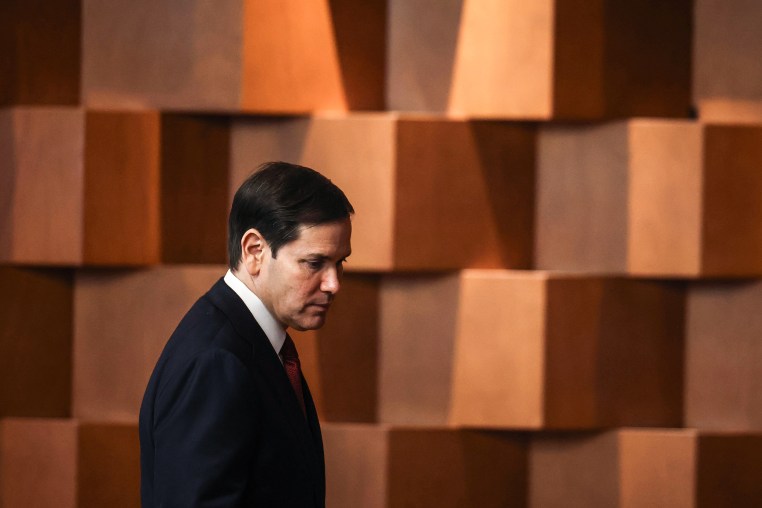 Image: Secretary Marco Rubio Meets With Mexico's Foreign Affairs Secretary Juan Ramon De La Fuente