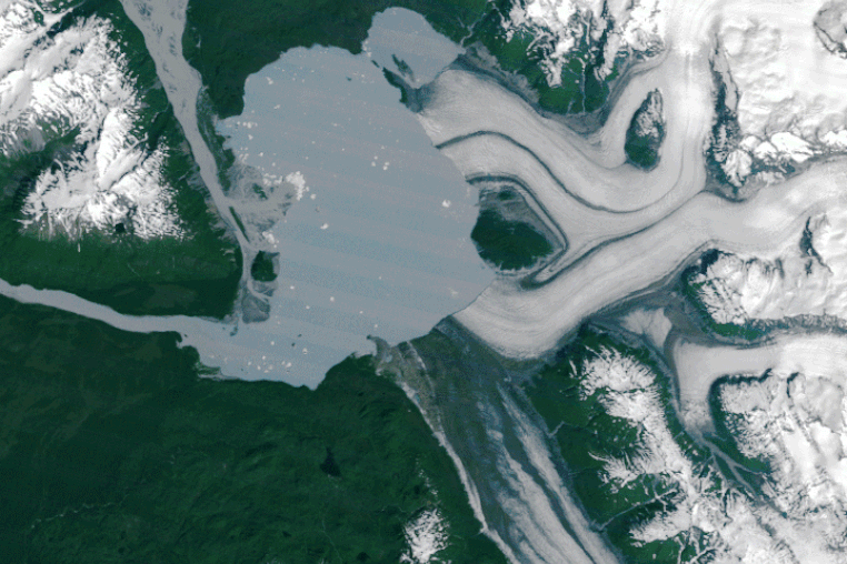 A landmass that was once encased in the ice of the Alsek Glacier is now surrounded by water.