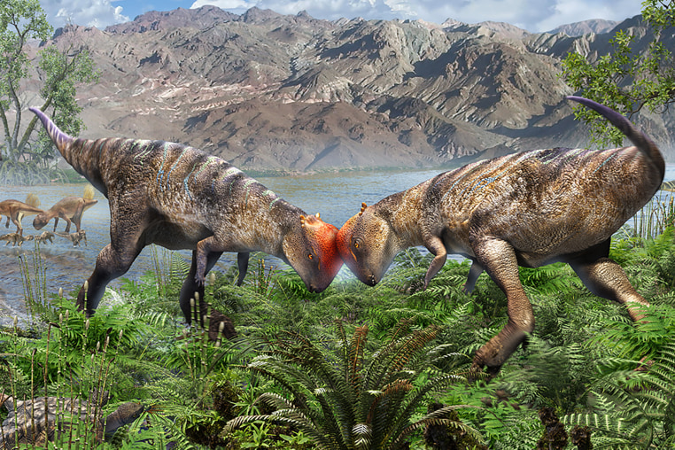 An artist’s interpretation of Zavacephale