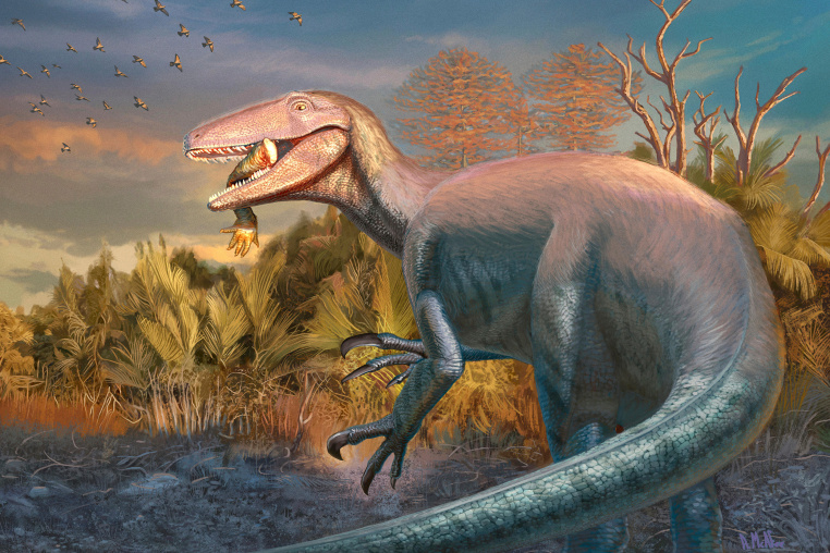 Clawed Dinosaur Joaquinraptor casali