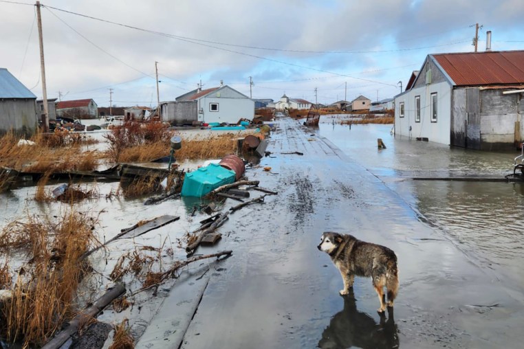 The source, Kathleen Simon, told SNG she filmed them from around her home in Tuntutuliak, located in the Bethel Census Area of western Alaska, on Monday 13th October.