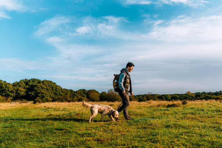 Young Asian man walking in nature with his dog.